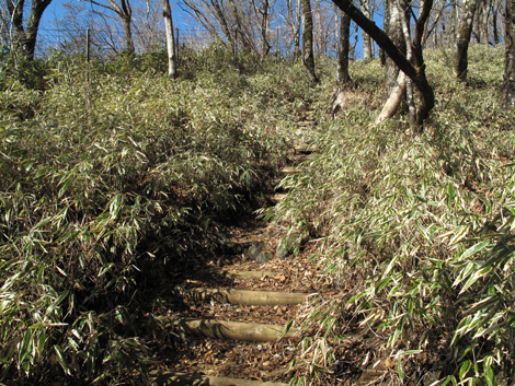 20171207hike (122)